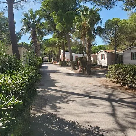 La Palmeraie 营地 托雷伊