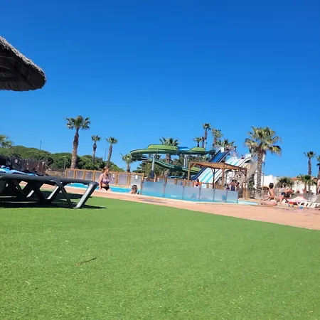 캠프장 La Palmeraie